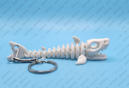 Shark skeleton