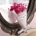 pink baby's breath