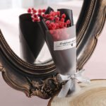 Red baby's breath